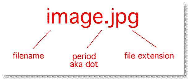 Computer File Format Breakdown