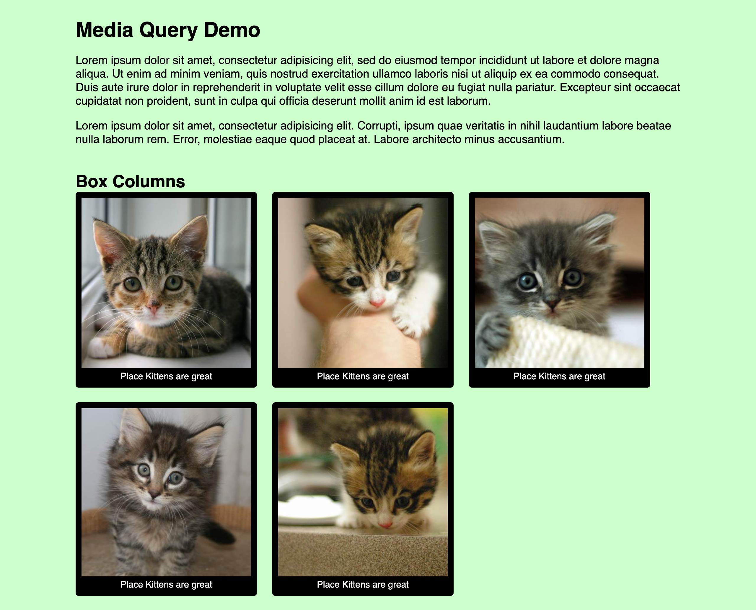 Media Queries Kitten Exercise Desktop Design
