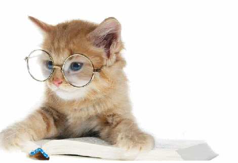 Cat with glasses and open book